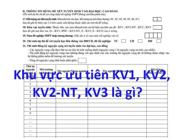 Khu Thương Mại Dịch Vụ Là Gì? Tìm Hiểu Đầy Đủ và Chi Tiết