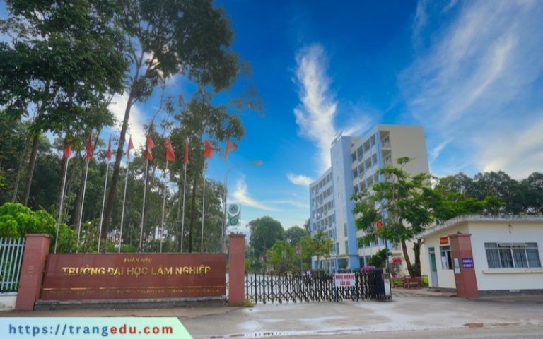 Trường Đại học Lâm nghiệp Việt Nam (VNUF)