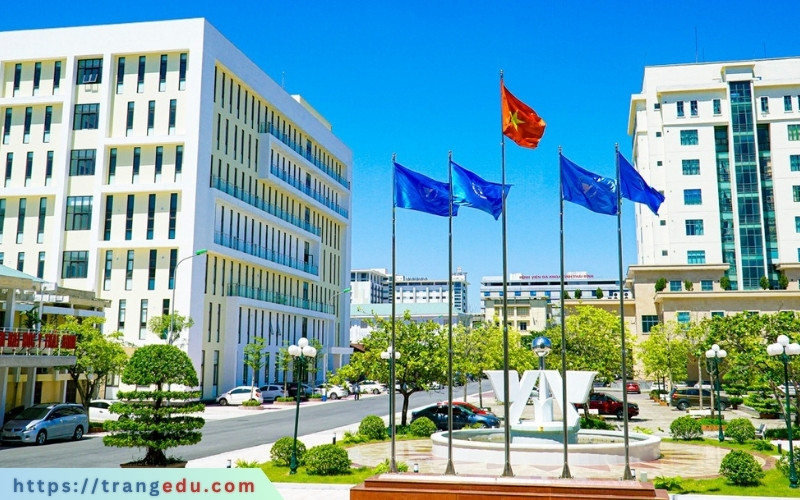 vi sao nen chon tbump