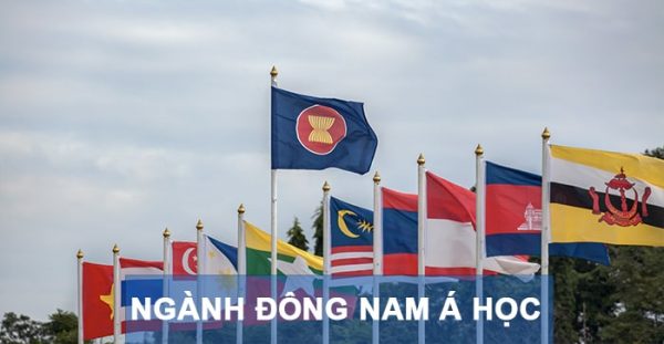 nganh dong nam a hoc la gi