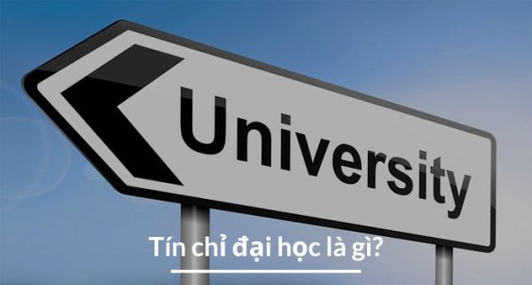 tin chi dai hoc la gi