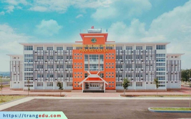 dai hoc nong lam tphcm phan hieu gia lai tuyen sinh