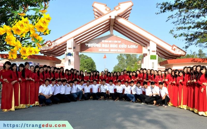 truong dai hoc cuu long tuyen sinh