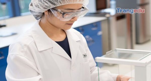 co hoi cong viec nganh dinh duong va khoa hoc thuc pham