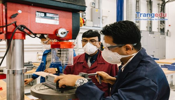 cac cong viec cua mot ky su co khi