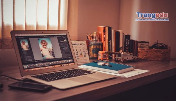 freelancer la gi