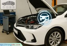 Ngành Kỹ thuật Ô tô (Mã ngành: 7520130) nganh ky thuat o to la gi